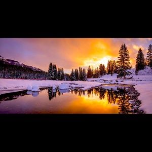 ‼️‼️ PLEASE READ ‼️‼️